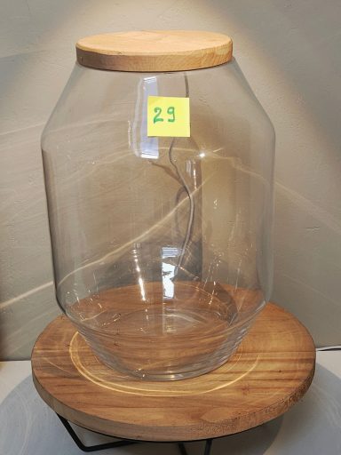H35 D25 avec led 80€ terrarium avec plantes et éclairage