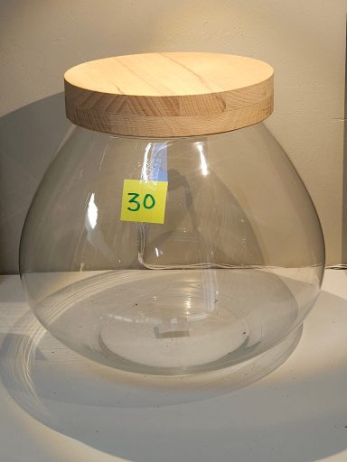 XL H29 D31 avec led 80€ terrarium avec plantes et éclairage