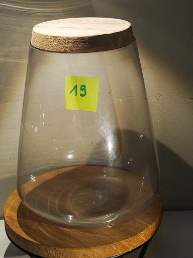 H23 D19 avec led 45€ terrarium avec plantes et éclairage