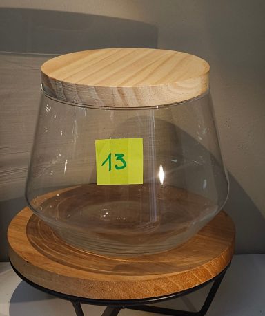 H16 D19 avec led 50€ terrarium avec plantes et éclairage