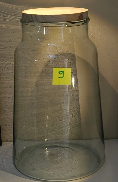 H38 D23 60€ terrarium avec plantes et éclairage