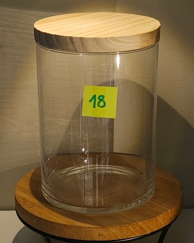 H21,5 D15 avec led 45€ terrarium avec plantes et éclairage