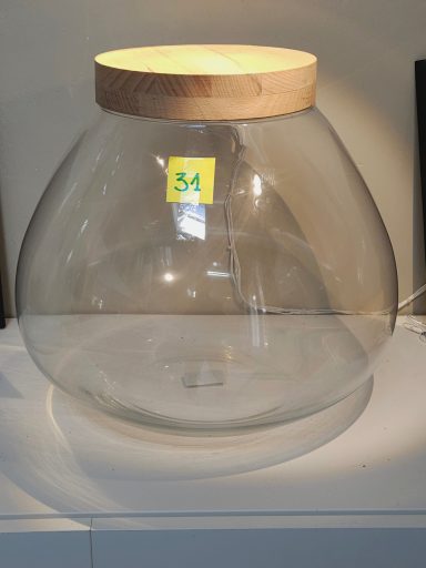 XL H34 D38 95€ terrarium avec plantes et éclairage