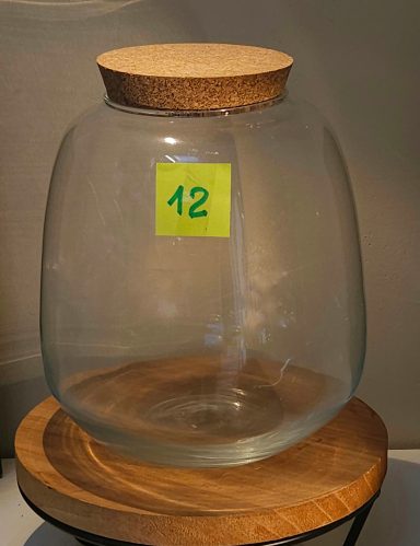 H22 D19 avec led 50€ terrarium avec plantes et éclairage
