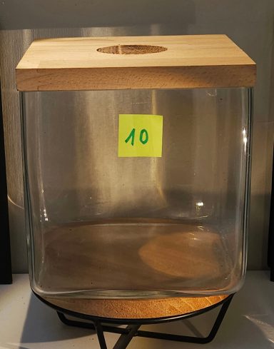 H22X20X20 60€ terrarium avec plantes et éclairage