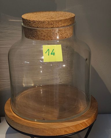 H21 D19 avec led 50€ terrarium avec plantes et éclairage