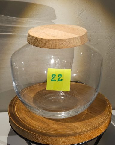 H16 D17,5 avec led 45€ terrarium avec plantes et éclairage