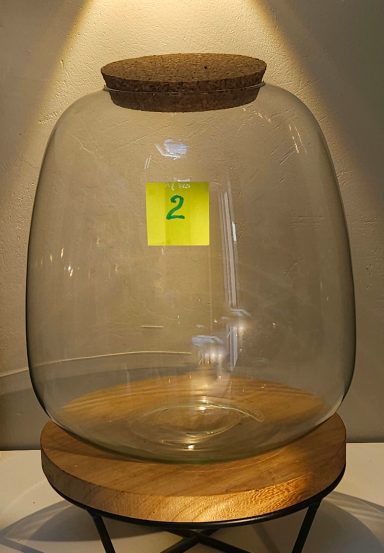 H26 D23 60€ avec led terrarium avec plantes et éclairage