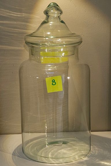 H36 D17 60€ terrarium avec plantes et éclairage
