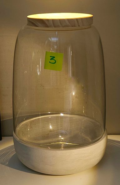 H36 D23 65€ terrarium avec plantes et éclairage