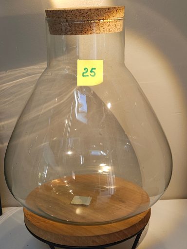 H33 D28 70€ avec led terrarium avec plantes et éclairage