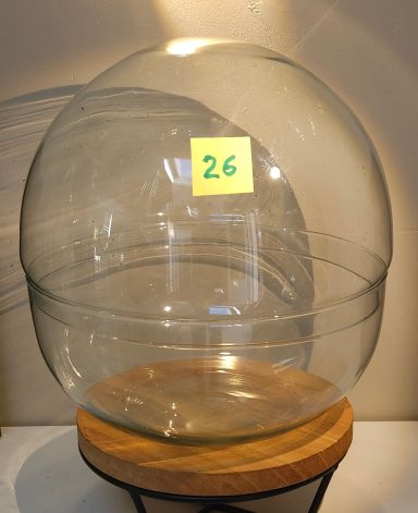 D29 70€ terrarium avec plantes