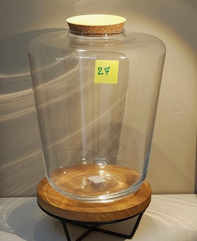 H32 D24 avec led 70€ terrarium avec plantes et éclairage