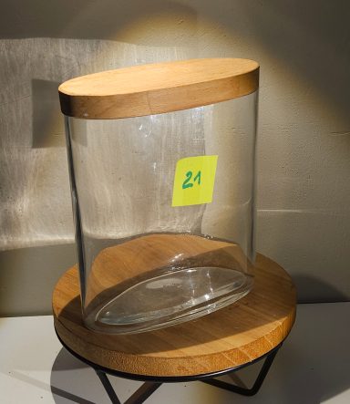 H20 X 17 X 8 avec led 40€ terrarium avec plantes et éclairage
