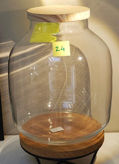 H31 D26 avec led 65€ terrarium avec plantes et éclairage