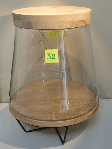 XL H31 D32 110€ terrarium avec plantes et éclairage