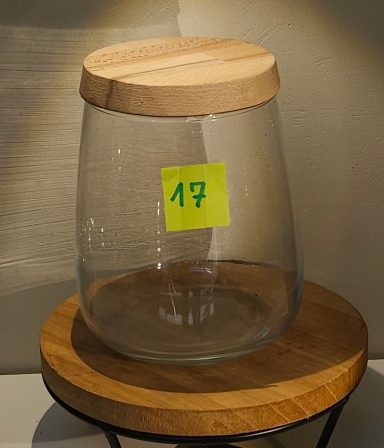 H19 D14,5 avec led 40€ terrarium avec plantes et éclairage