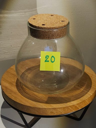 H15 D15 avec led 35€ terrarium avec plantes et éclairage
