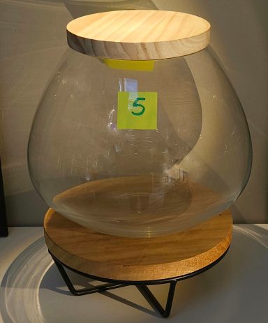H22 D25 60€ avec led terrarium avec plantes et éclairage