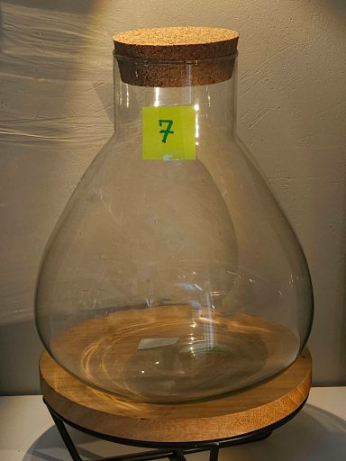 H26 D22 60€ terrarium avec plantes et éclairage