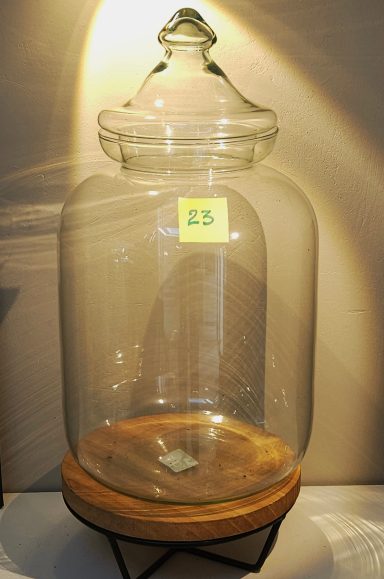 H40 D23 60€ terrarium avec plantes